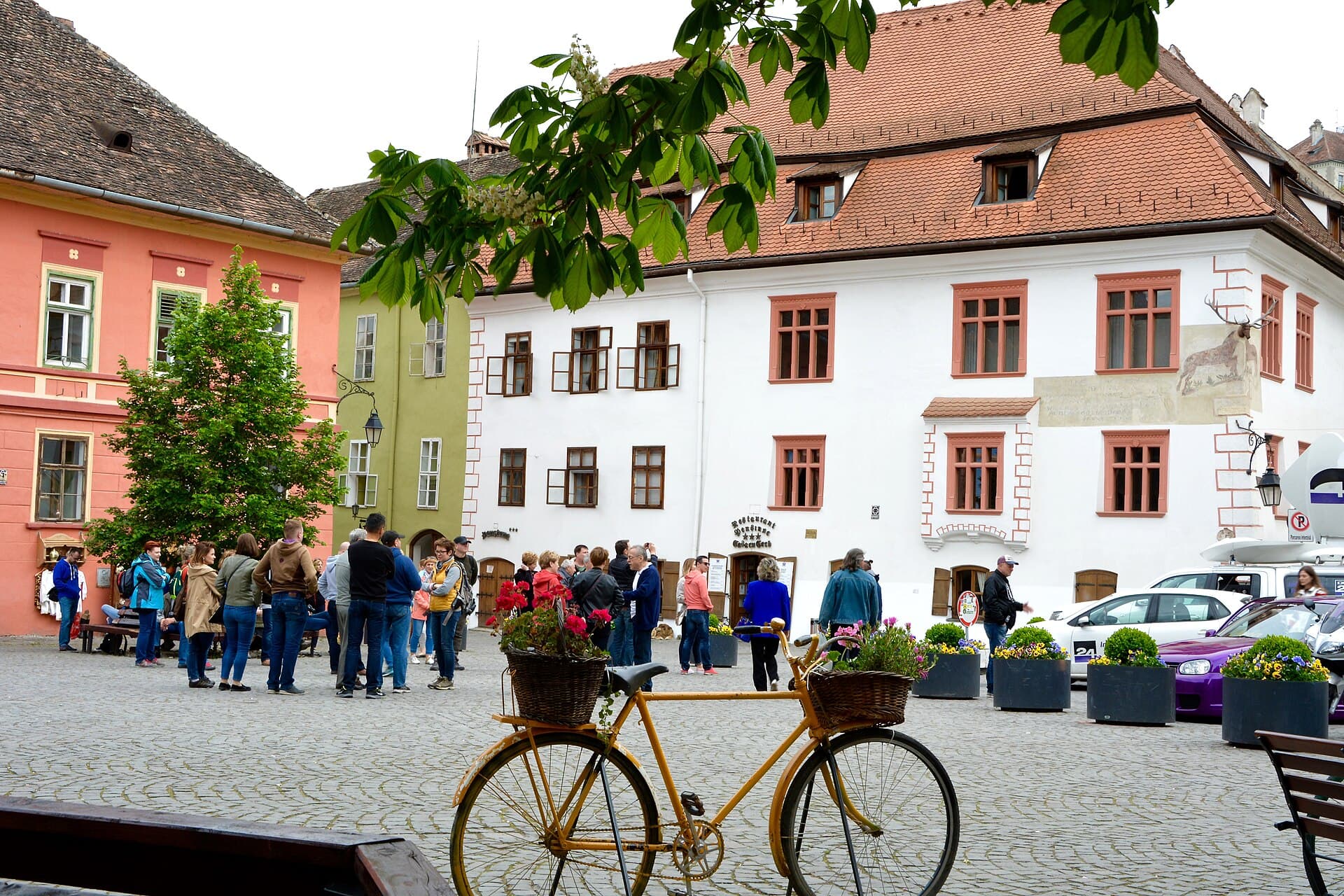 Excursie privată la Sighișoara