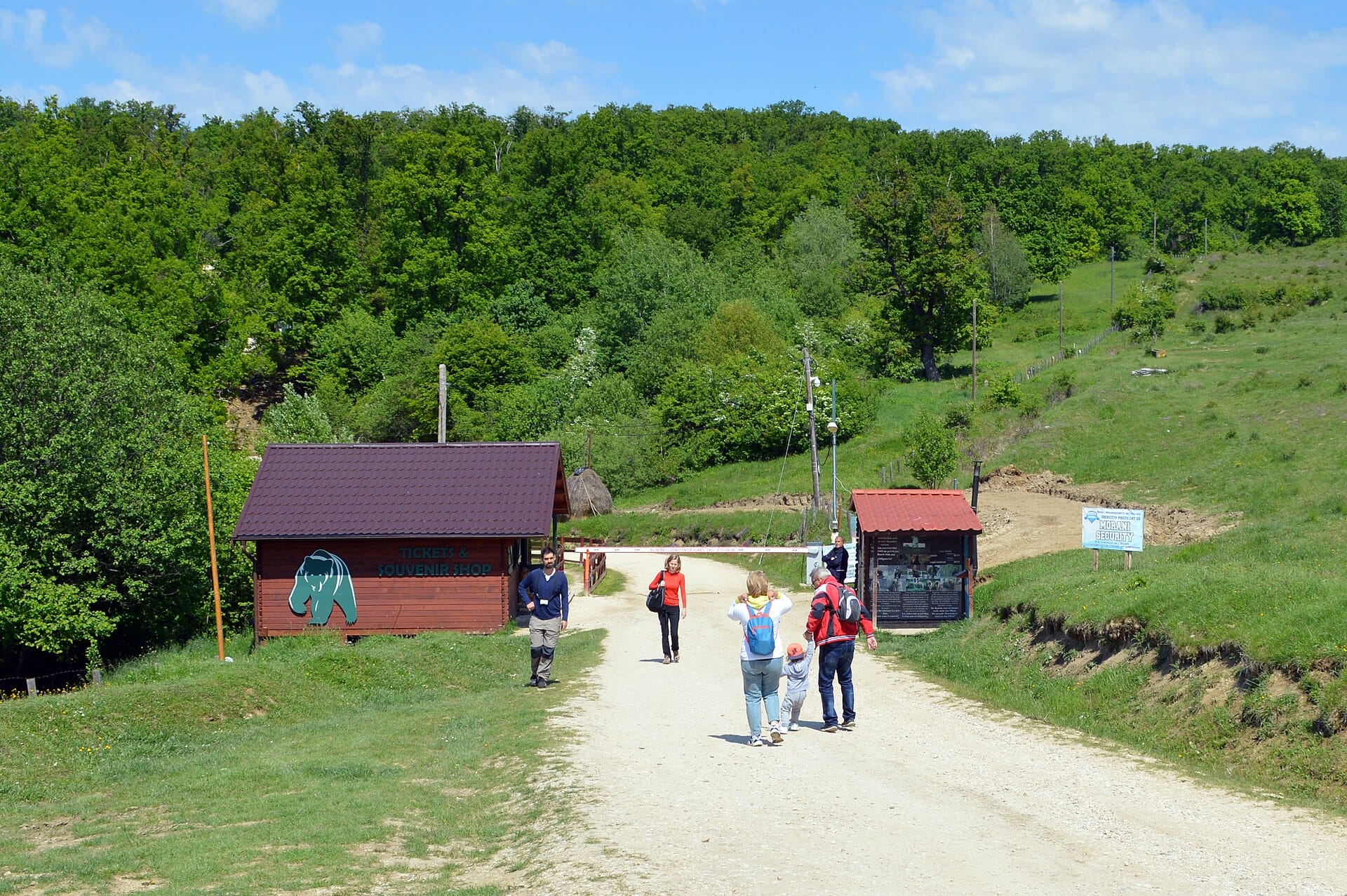 Bear Sanctuary & Bran Castle
